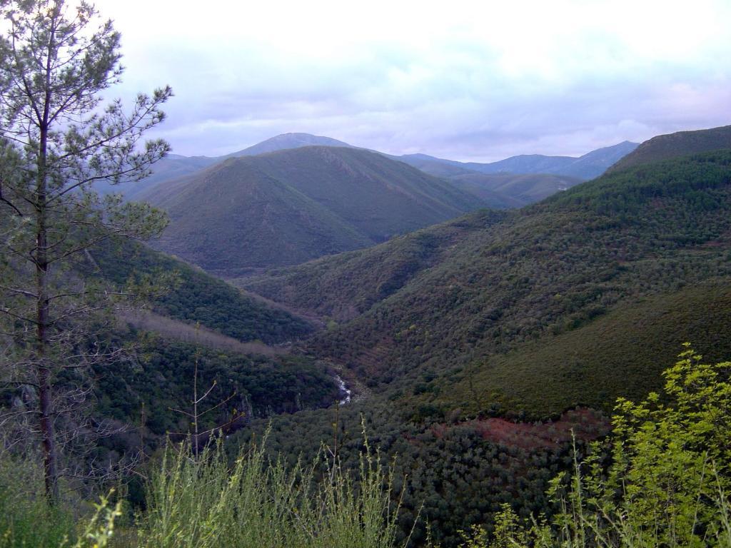 Alojamientos La Herrera San Esteban de la Sierra Bilik gambar